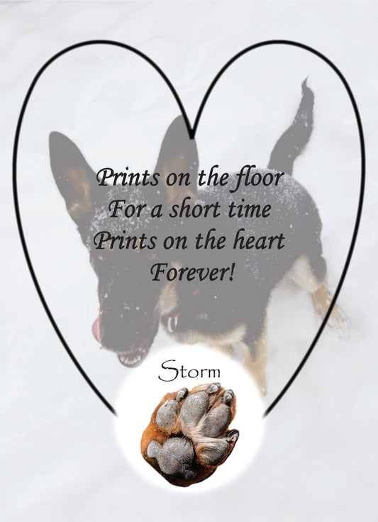Pet Memorial, Customizable