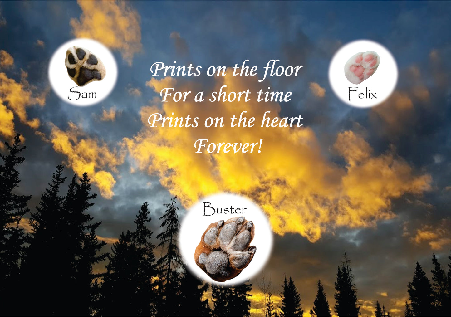 Pet Memorial, Customizable
